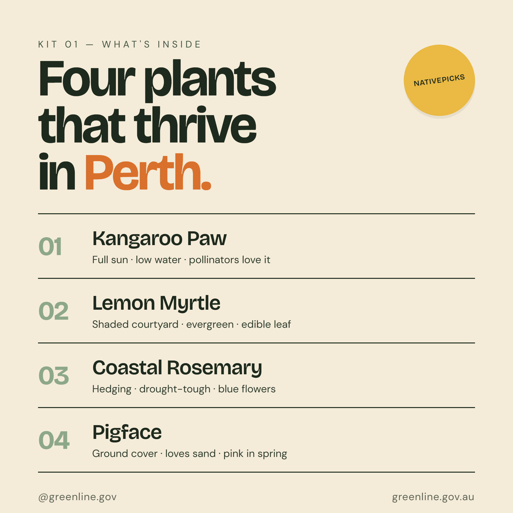 Four native plants that thrive in Perth